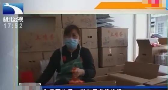 鸡场老板爆料事件视频完整版,揭秘养殖行业黑幕，完整版视频曝光惊人内幕