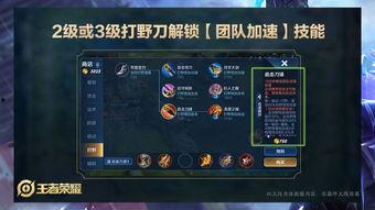 王者荣耀玉林爆料视频,王者荣耀新英雄及版本更新揭秘